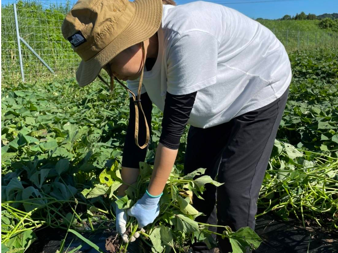 R̒ł܂@y݂܂i\݂̓͗́ulvłAugvƓǂݑւ悤ɂ肢܂j