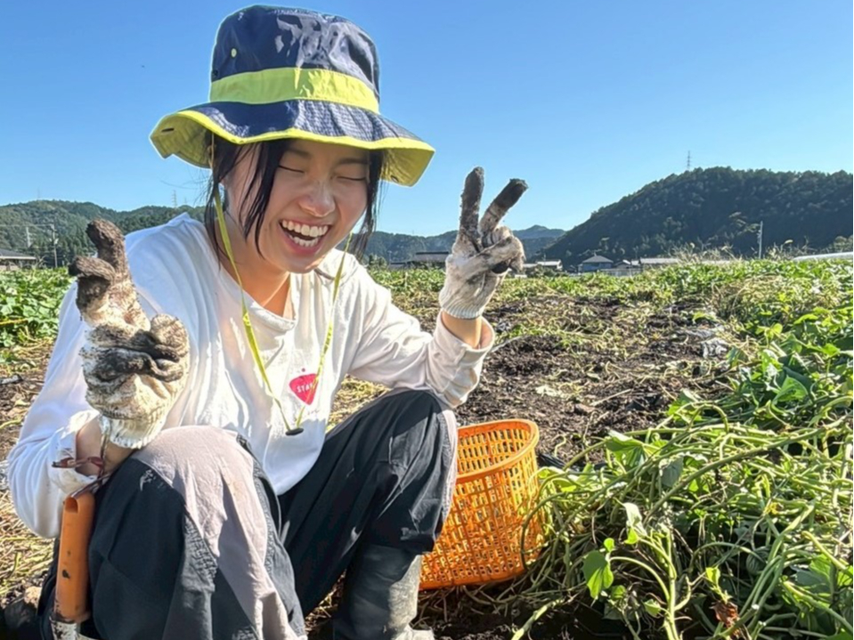 <さつまいも掘り体験/4品種!>カフェの飲食メニューが10%オフ特典付き♪ヤギさ...