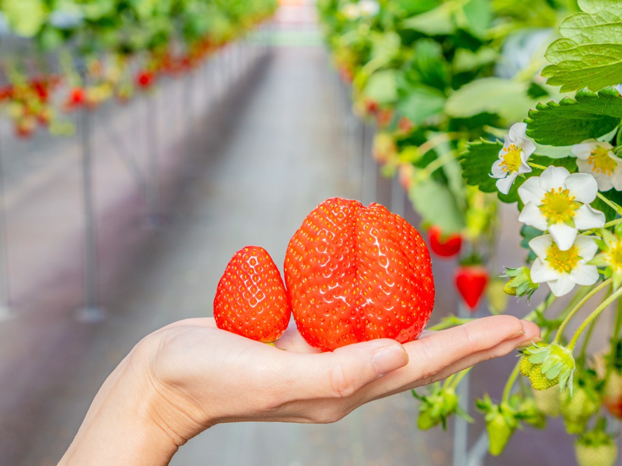 ʂɗʂĂ邢ł͖킦Ȃx̍hnhܖ