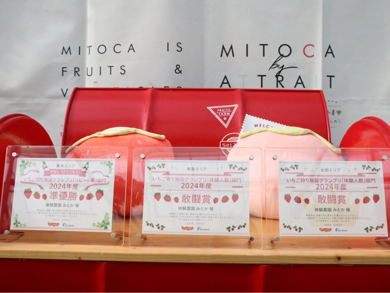 地域最大級の広大なハウスでいちご狩り!《最大5品種!30分間食べ比べ&食べ放題♪...