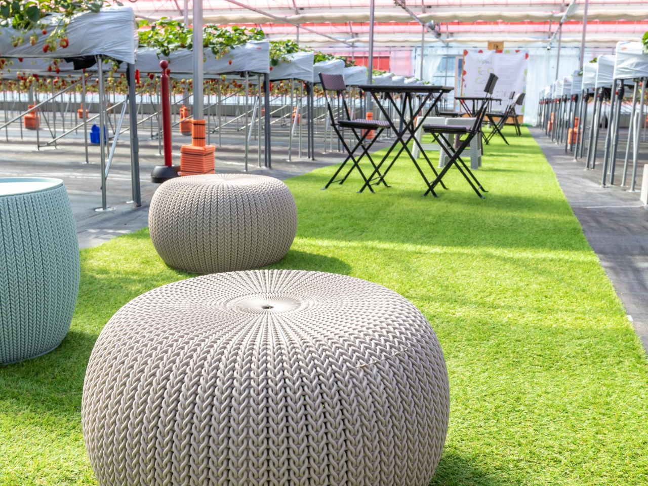 L̕Ɋył悤Ae[uE֎qĂ܂