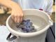 新鮮な大粒ぶどうをさらに美味しく食べて頂くため、『氷水』を準備しています