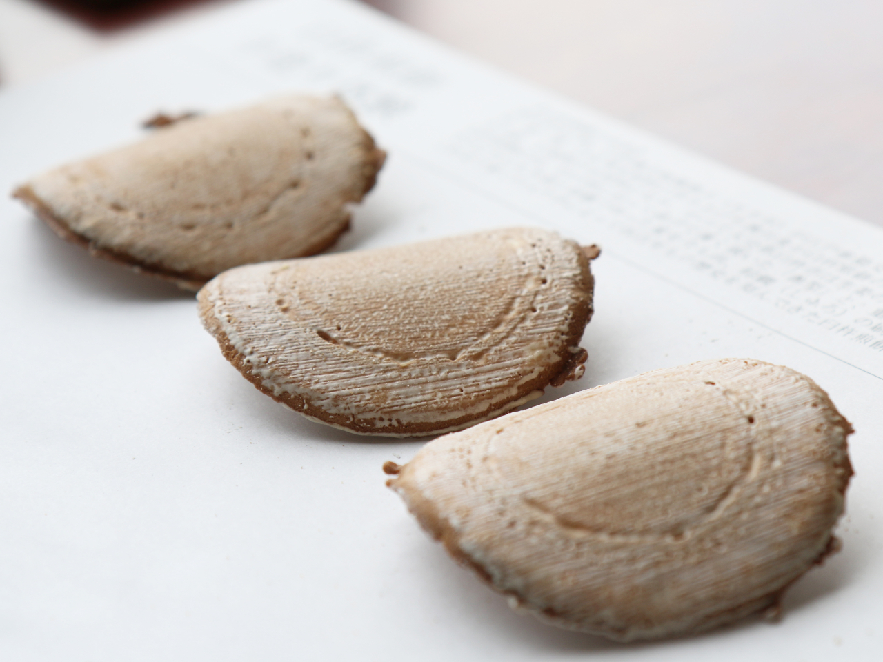 ɏoオPń݂AɔȖ͗loĂ܂I̎Ȗ͗l`̂ӊOƓRcKvł ^^