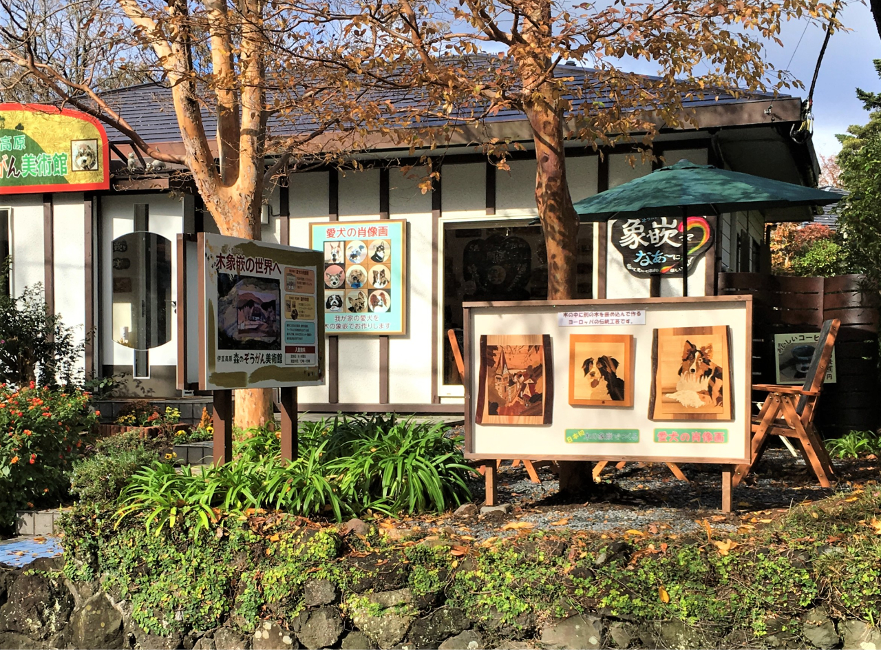 ���Д��p�قւ��炵�Ă��������B