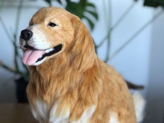 作品例 <ゴールデンレトリバー>