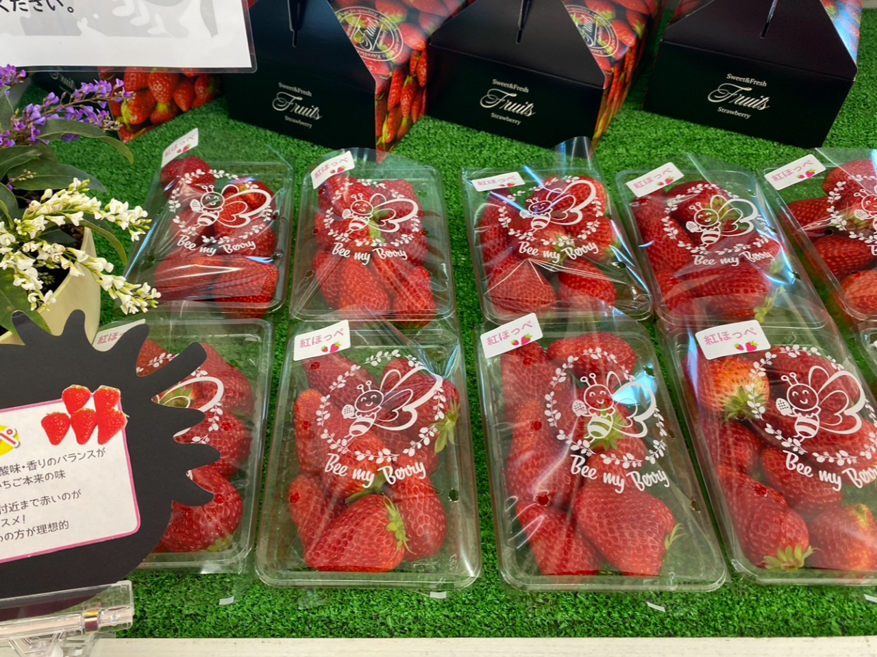 いちご様連絡ページ いちご様連絡ページ いちご☆彡ページ いちご様 いちご様 いちご①