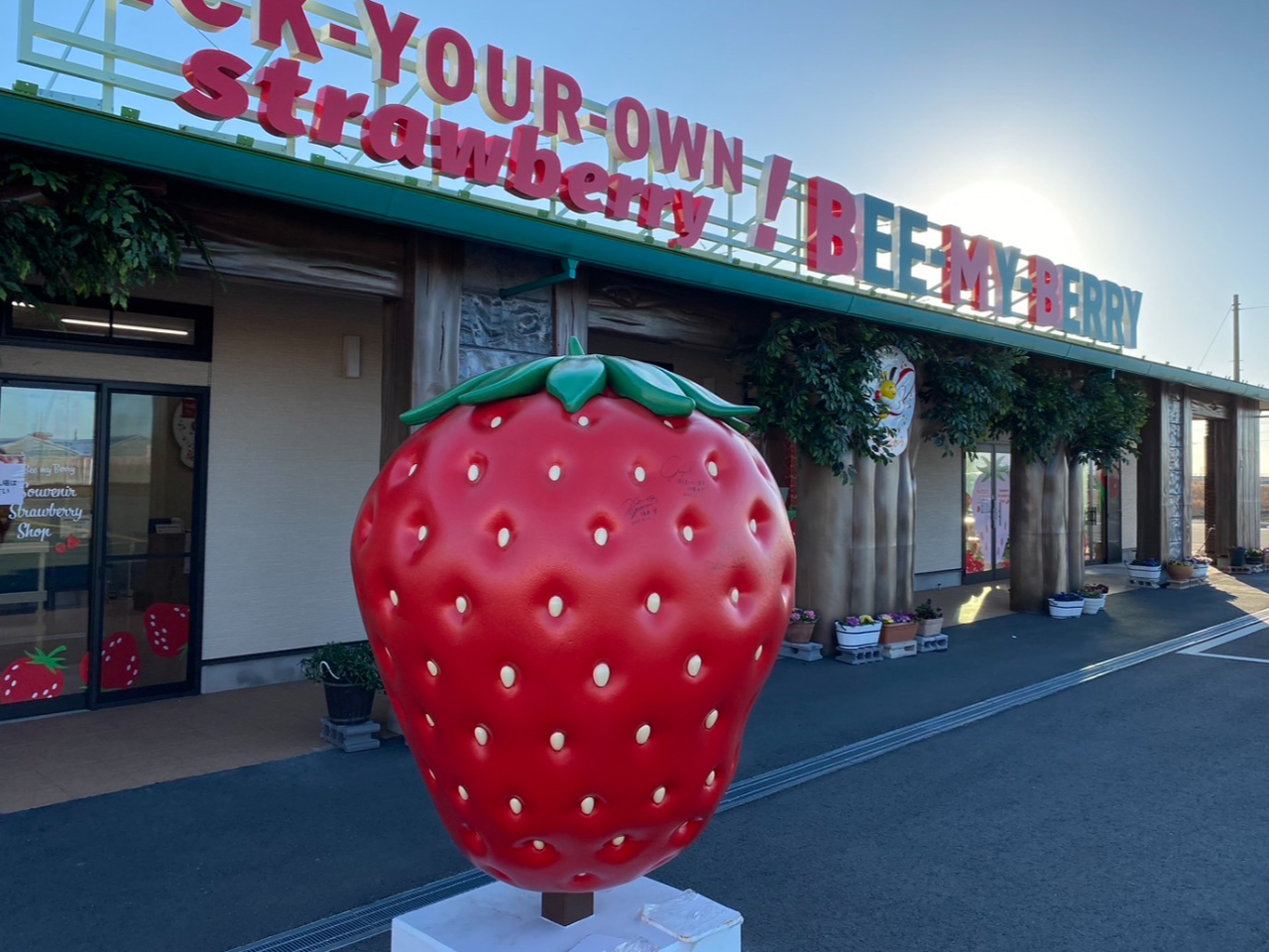 じゃらん関東エリア優勝★現地払い5/7~閉園【アクアラインから1番近いイチゴ農園...