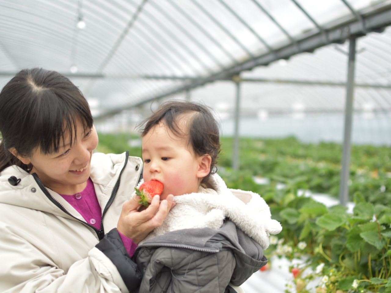 nEXŐHׂ䕂́Aق̂肠Ĕ@w_Ɍ܂ŎgĂȂAql܂ňSĂオ肢܂