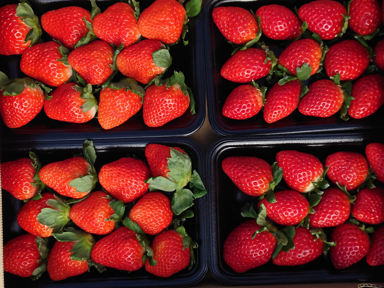 �E������������A���������ق̂��ł��B�E�ݎ���Ă̂������A��͂���܂��񂪁A�����R�[�i�[��ݒu���Ă��܂��B���y�Y�ɂ������ł����H