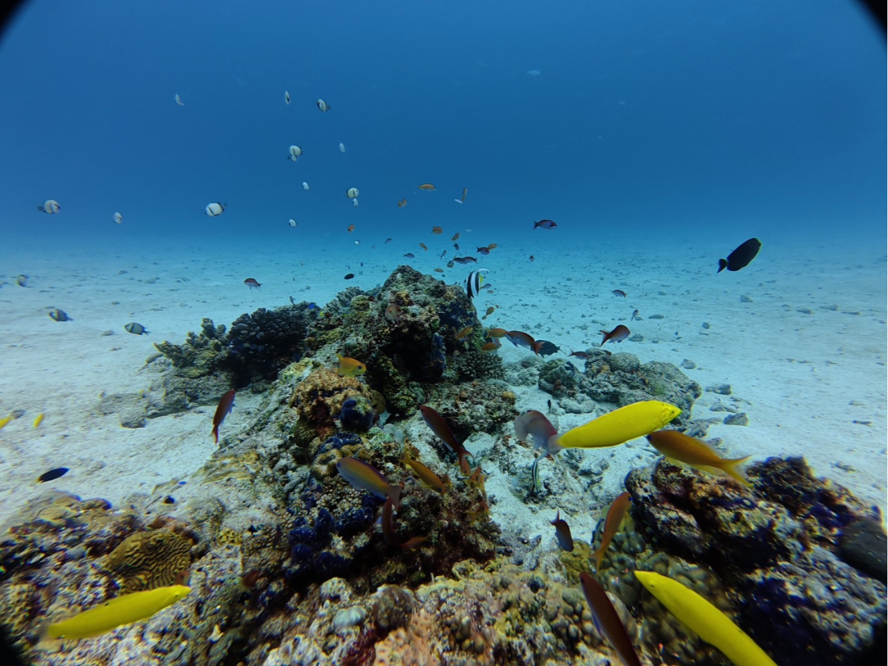 青く透き通る海!!!