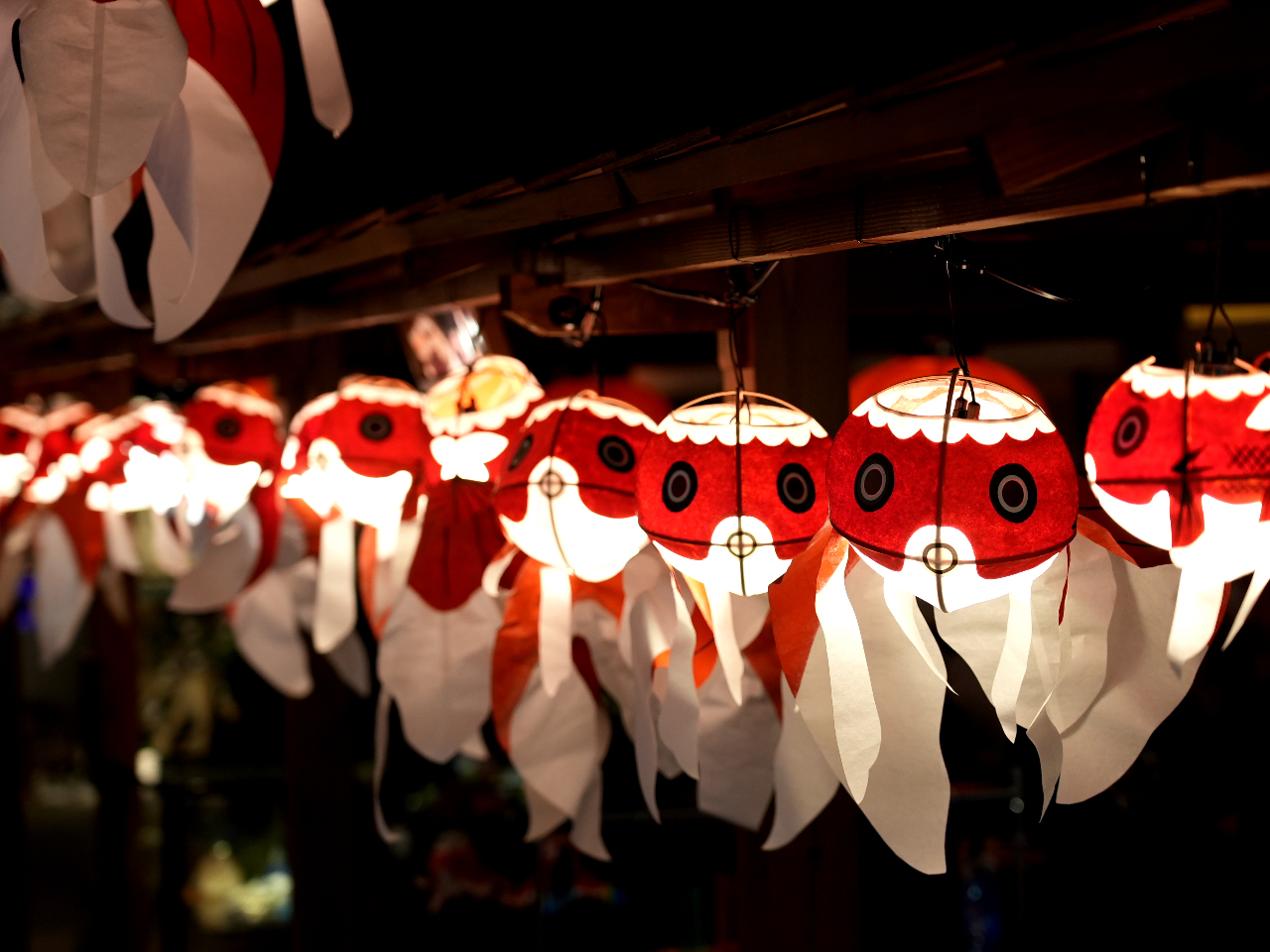 じゃらんのお得な10日間】5月｜日本最大級金魚エンターテインメント