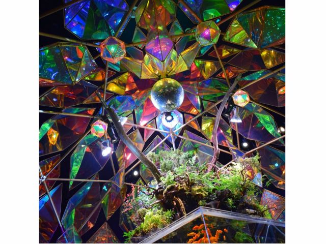 テラリウム×ステンドグラス