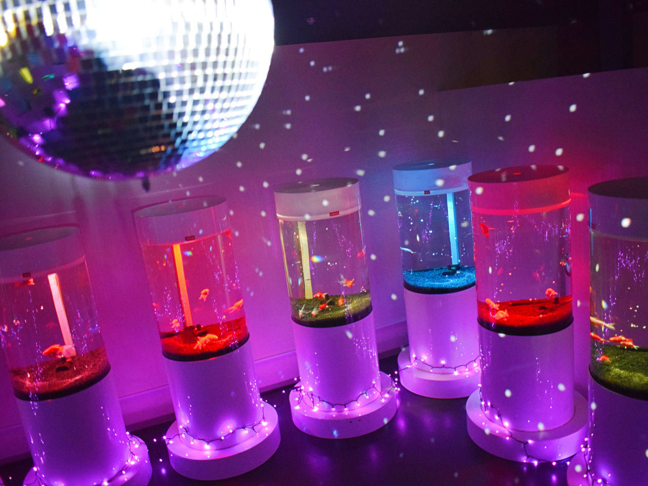 ダンスホールのようなネオンとミラーボール