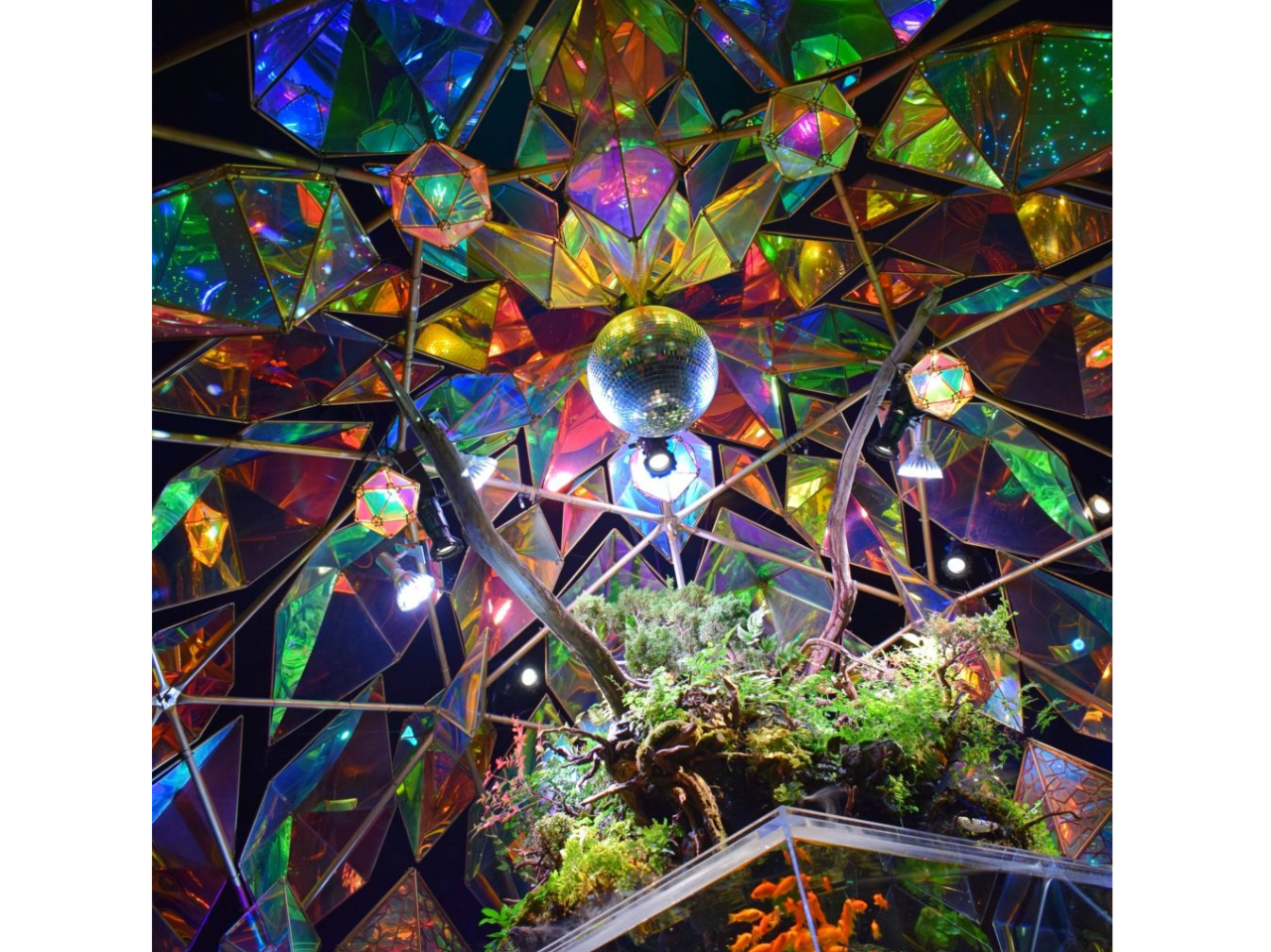 �e�����E���~�X�e���h�O���X