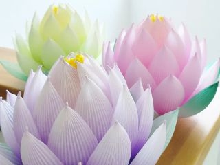 体験でお作り頂くハスはお好きな色を選ぶところから始まります♪