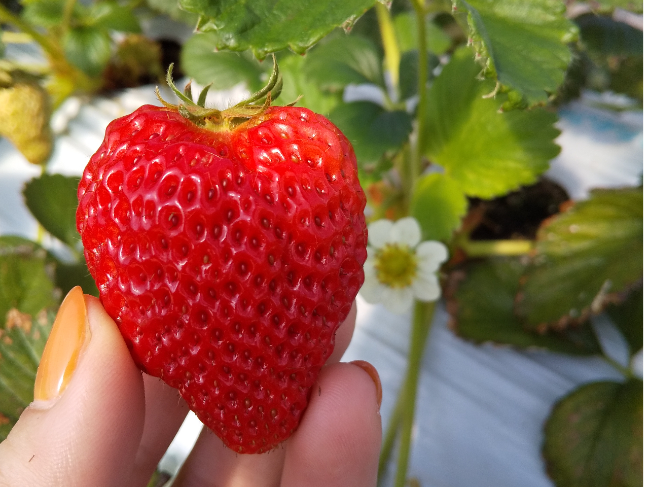 �n�[�g�^�̂�������^���ǂ���Ώo��邩����