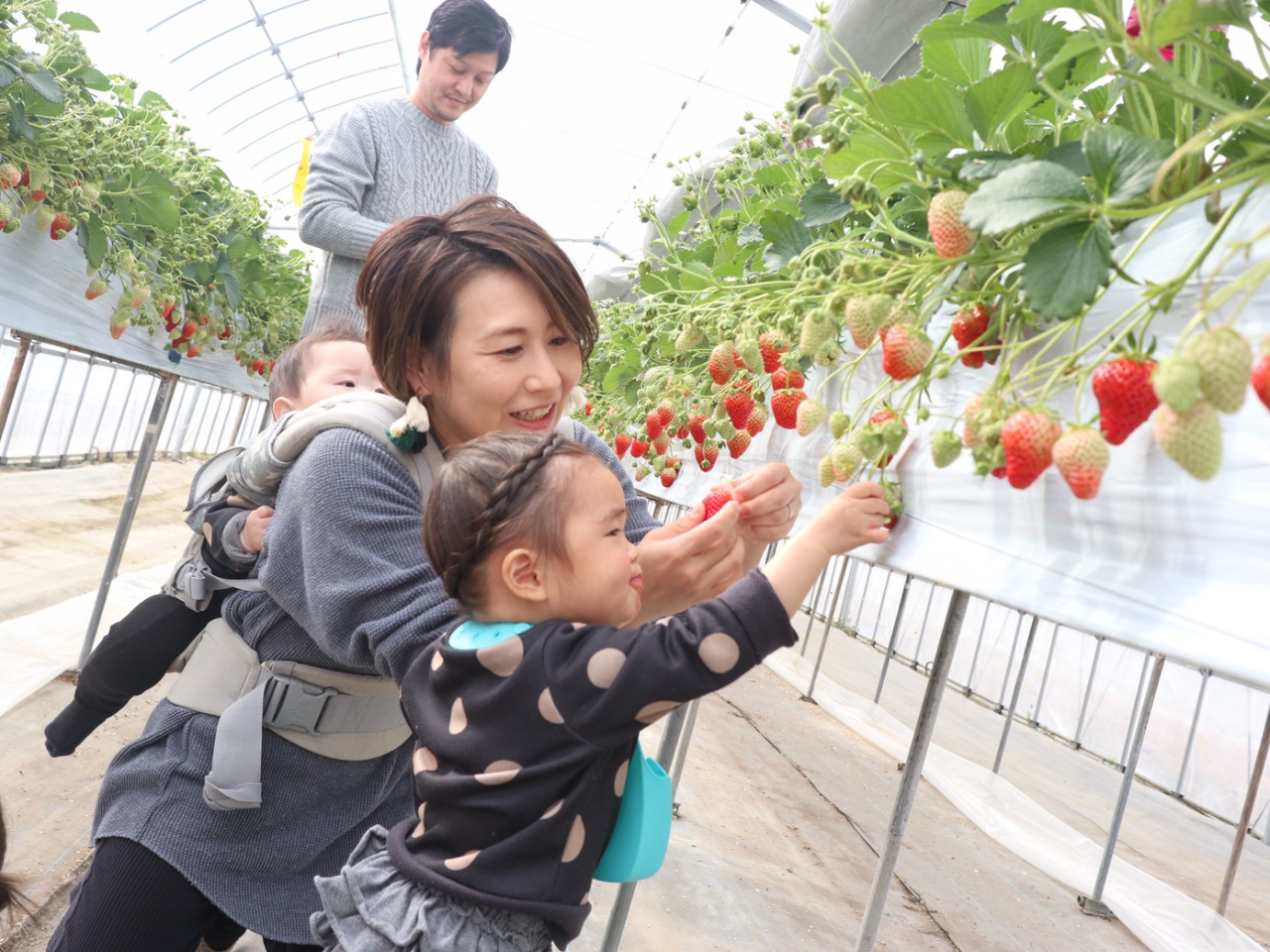 �t�@�~���[�ł̂����������l�C�ł�(^^)����