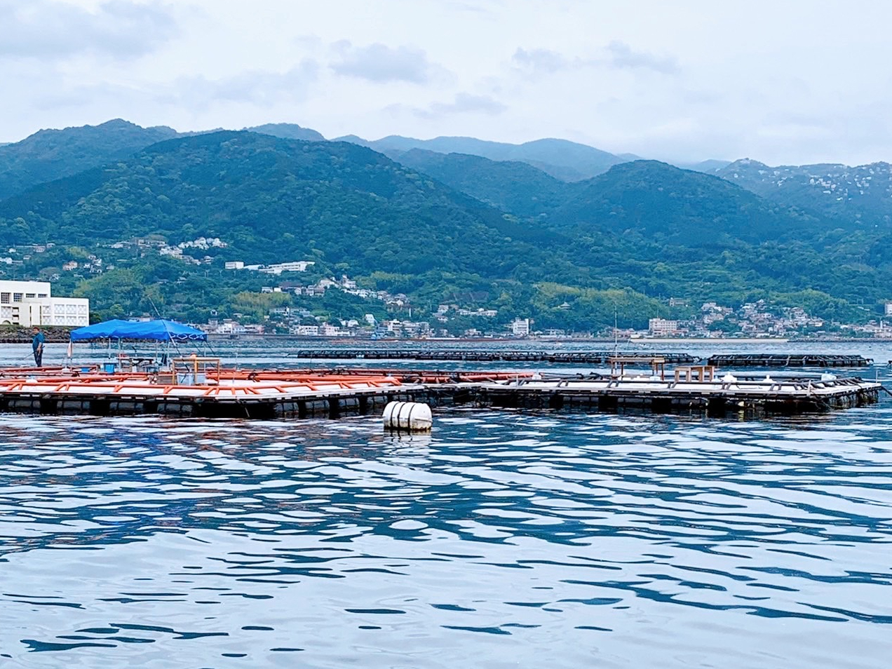 ԑ̌iFy݂ȂAƒނ肪y߂܂