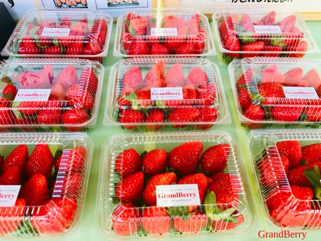 いちごの直売もしておりますので、お土産でもどうぞ(^^)