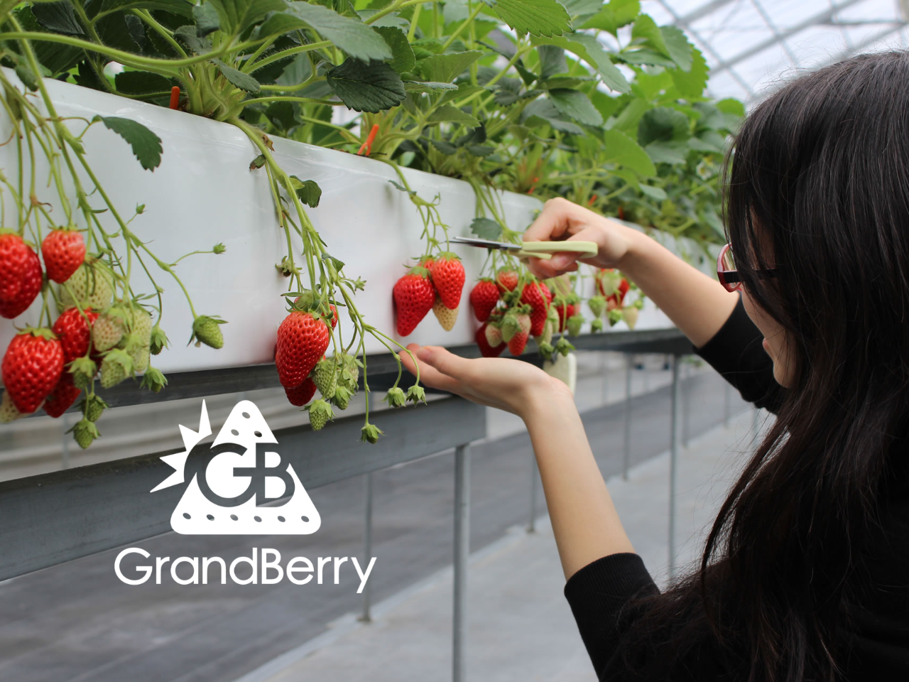 ���ݍ͔|�Ȃ̂ŁA�ǂȂ�����������肪���₷�����ƂȂ��Ă��܂���