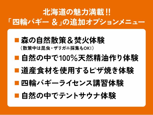 追加オプションご希望の方はメールかお電話にてお問合せ下さい。