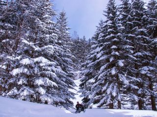日本最長の本格的な山岳コース!!