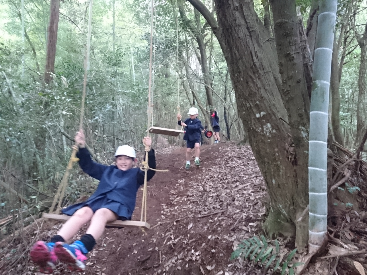 空中庭園キャンプサイト 森林セラピー