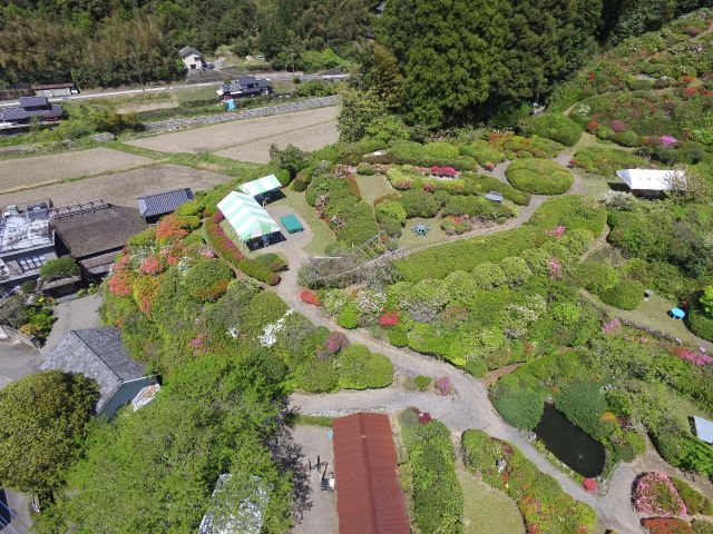 空中庭園キャンプサイト