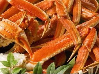 恒例の本ズワイガニ食べ放題!