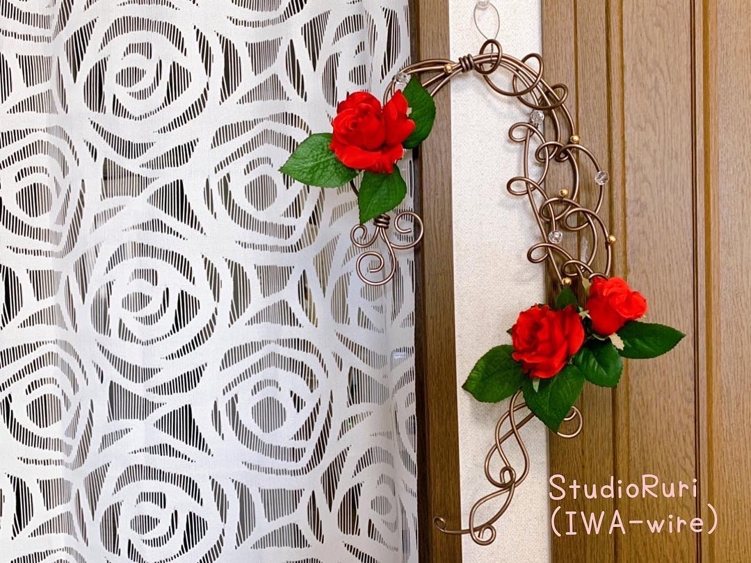 �V�����p���u���E���͔����ǂɂƂĂ������܂��ˁ`(^^��