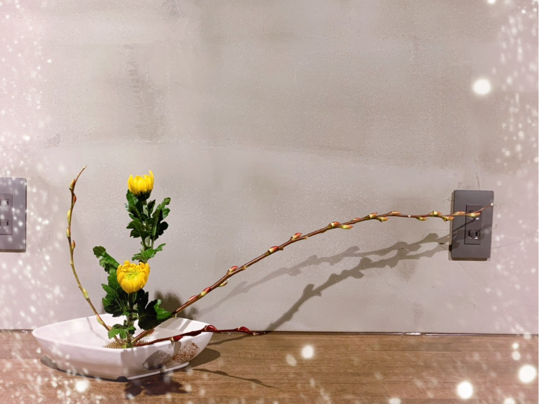 ひらくかたちの見本生けです〜(^^♪