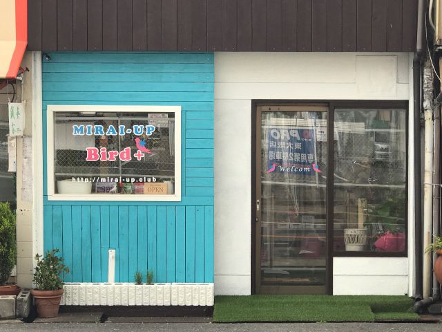 当店正面になります。ふれあいメインの鳥カフェです^^ショップエリアでのお買い物だけなら時間制では御座いませんので、お気軽にお越しくださいませ。