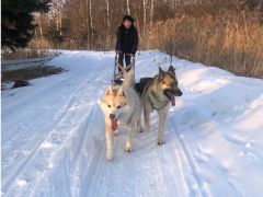 今まで知らなかった犬の魅力も発見。