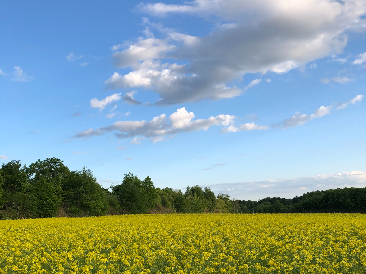 @Ǖn͍؂̉ԂňʉF̐E