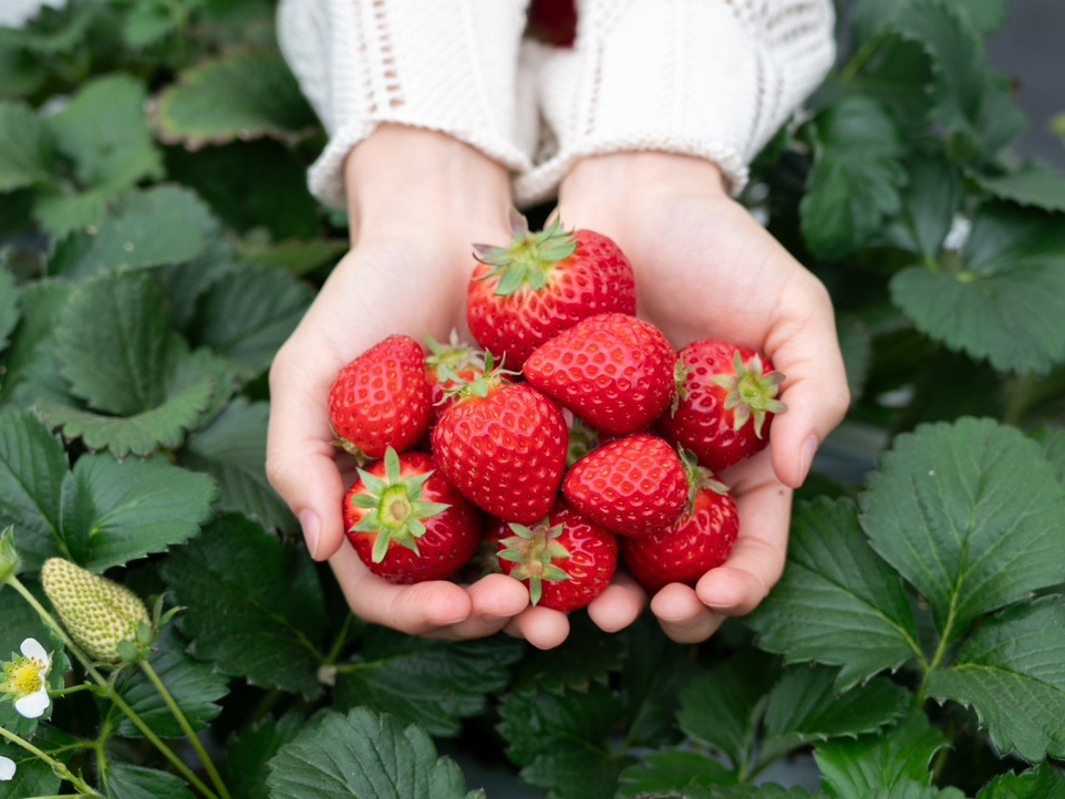 傫Ɋ֌WȂ^ԃC`SPointI