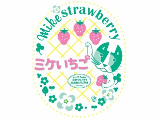 ☆New open☆【京都市内でいちご狩り】40分間・最大8品種の食べ比べがたのしめるプレミアムいちご狩り♪※感染症対策実施中※