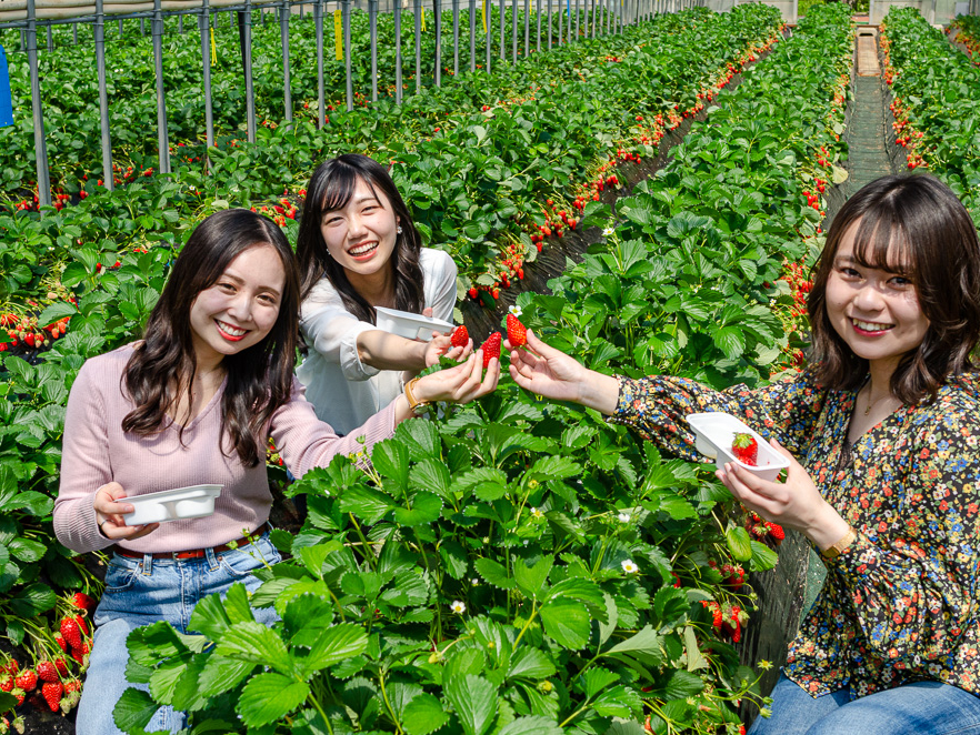 �]�Ԃ��������Z���^�[