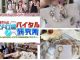 京都TVでご紹介頂きました!