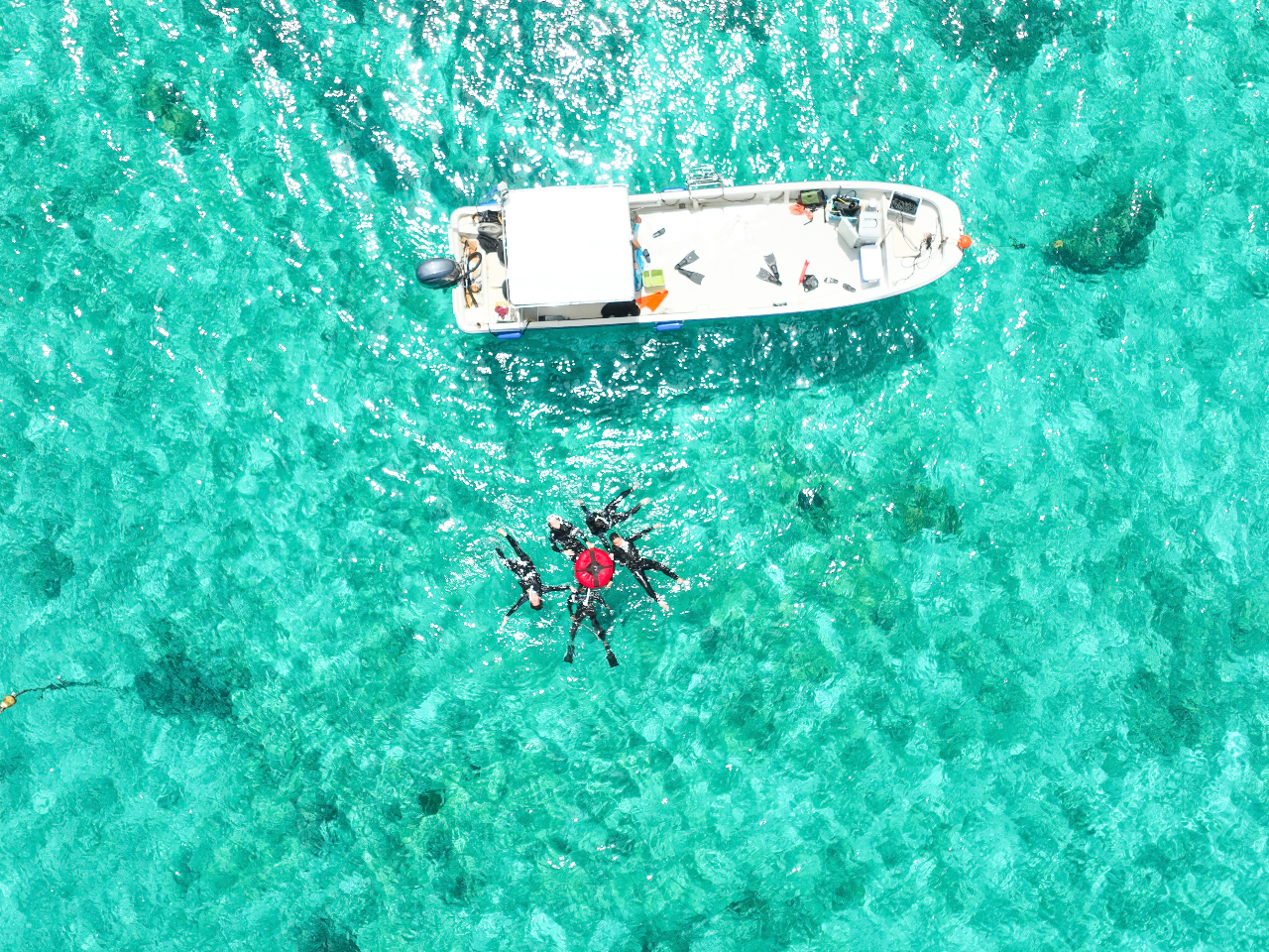 ����������΂���ł��I�I�I�I