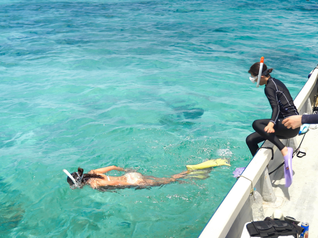 Vm[PJnIKCh񂪂背N`[Ă܂I