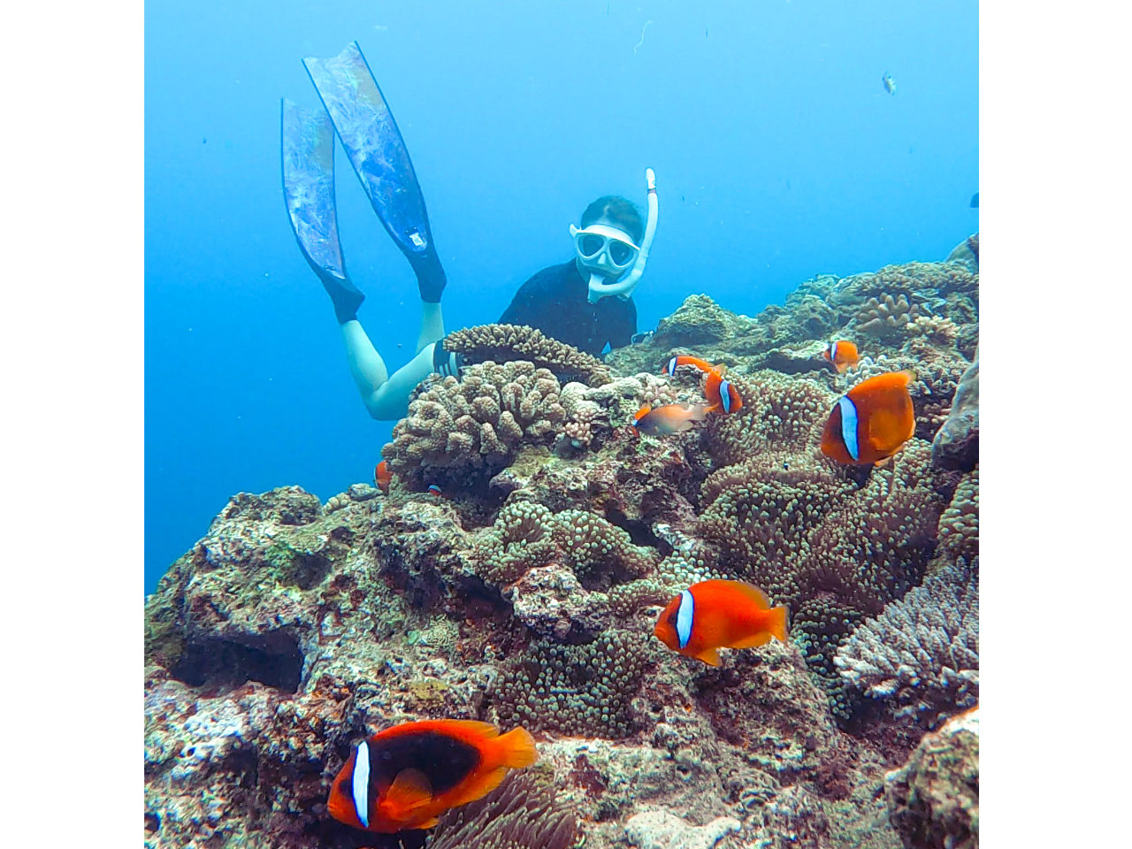 hjhŒmN}m~IS4ނN}m~邩ȁIH