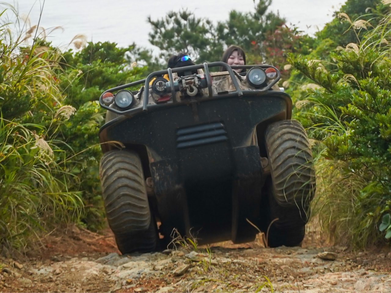 X́IqlɂăR[Xς̂ł݂ȈSS