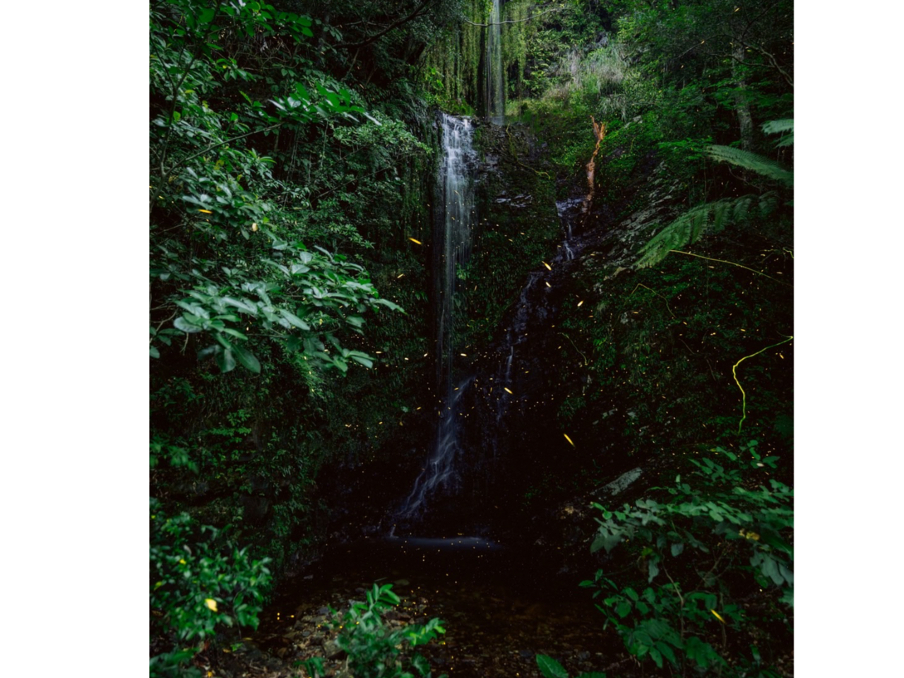 ���v��̂܂����邢���ԑт���z�^���͏o���I