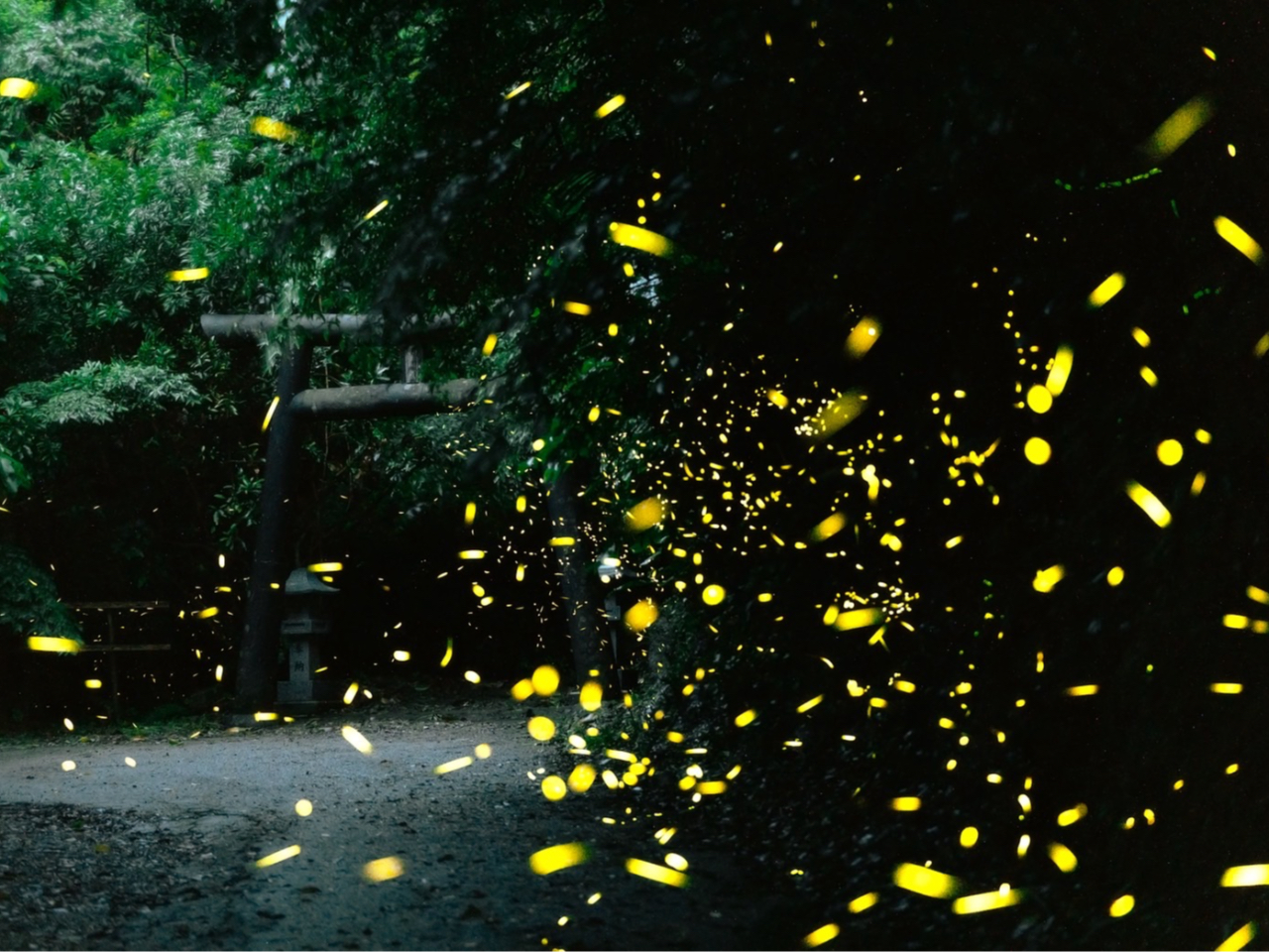 ���΂�G���A�͐������l�C�I�z�^���������V�C���ǂ���Ίy���߂��Ⴄ�I�I