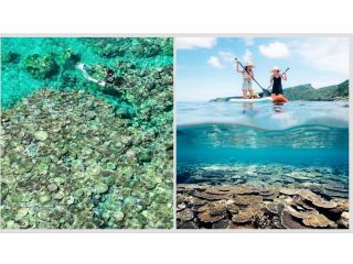 盛りだくさん!恩納村の海遊びならターザンワールド!!