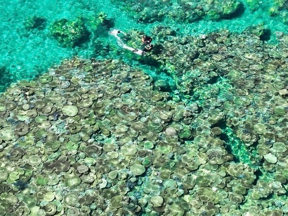 �Ł[���Y��ȑݐ؃G���A�ŗV�т܂��傤�I