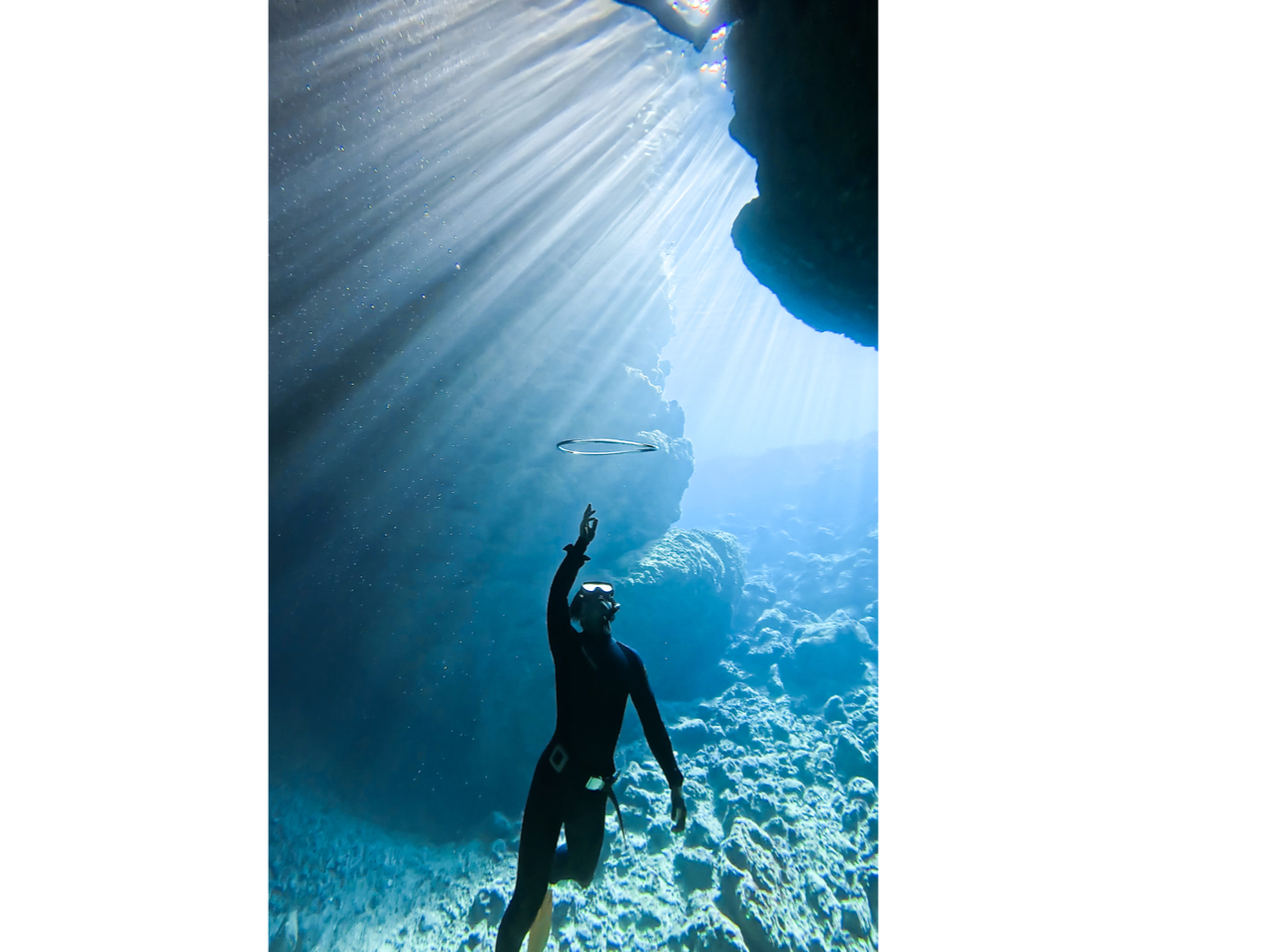 �����H�Ȃ����Y��ȊC�I����̓��A�̒��ɍ������ތ��͊������́�