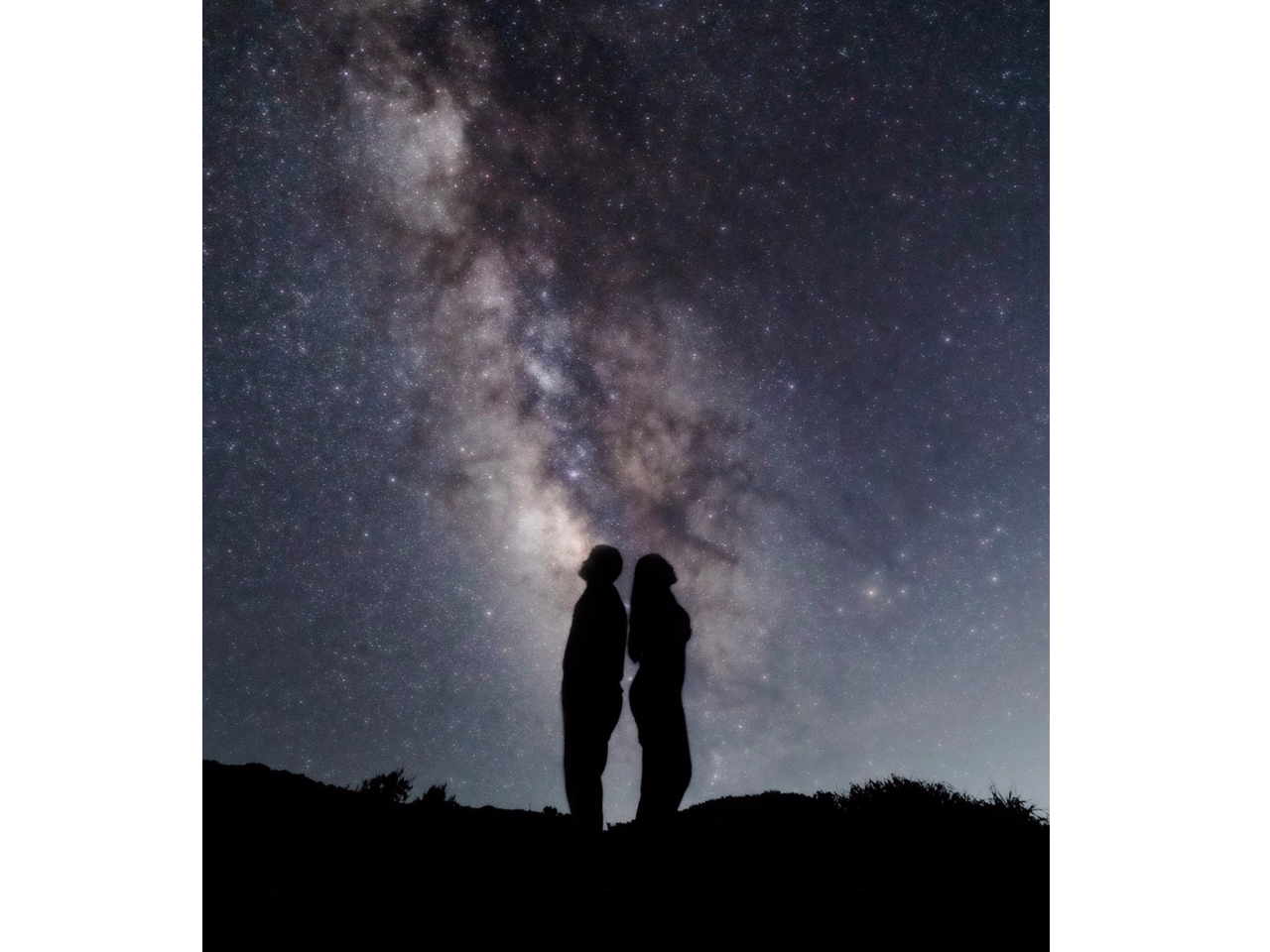 �c�ɐL�т�V�̐�I�����̌i�F�ł��B