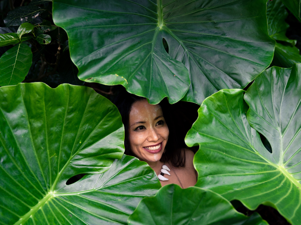 ����̊C����Ȃ��y�΁z�����̎ʐ^��؂���܂��B