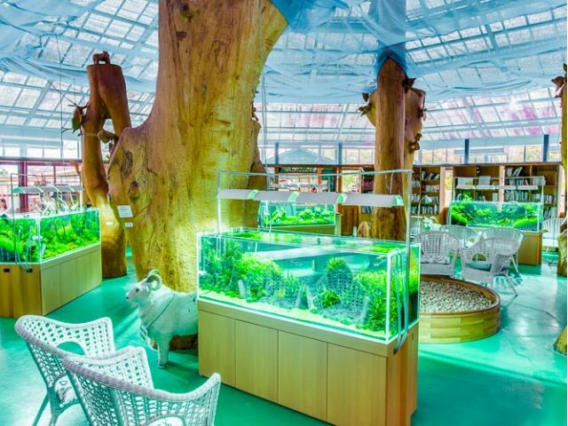 木彫の作品と水草水槽をコラボレートした、こちらのお部屋で本を読みながら、ゆったりとした時間を、お過ごしいただけます。